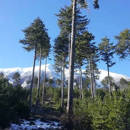 Hébergement de vacances Ventoux Lavande Sault