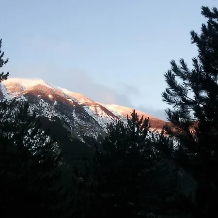 Ventoux Lavande