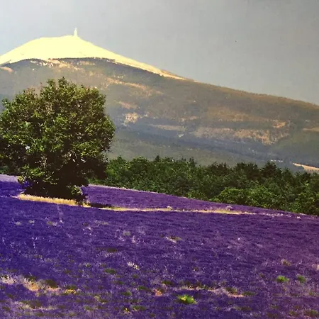 Ventoux Lavande Hébergement de vacances
