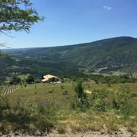 Ventoux Lavande * Sault