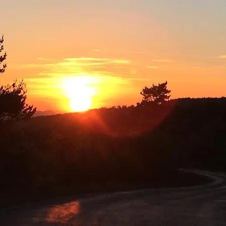 Ventoux Lavande * Sault